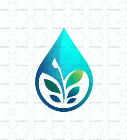 Wassertropfen und Blatt